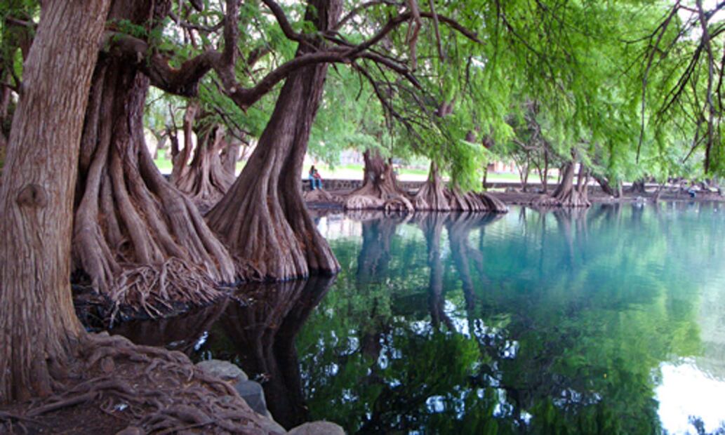 El Lago de las Lágrimas en Michoacán. Foto: Gobierno de México
