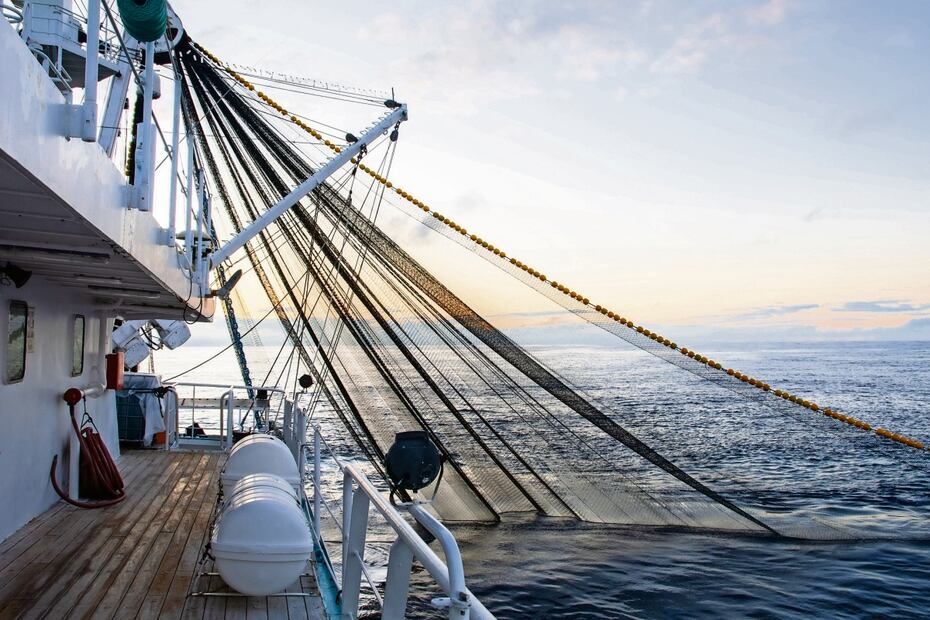  Pesca de atún