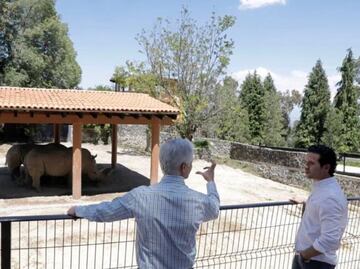 Alfredo del Mazo inaugura el Parque Ecológico Zoológico Zacango