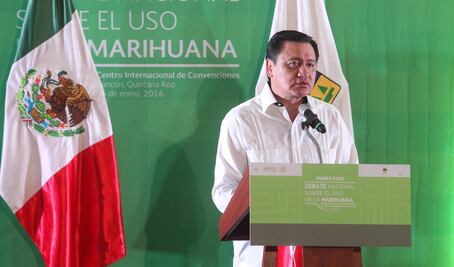 "Se perfila apertura en uso terapéutico de la marihuana"