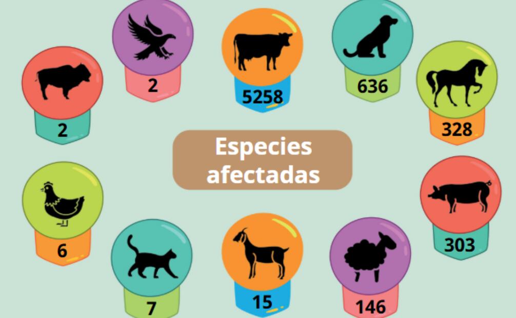 Especies afectadas por gusano barrenador en la frontera sur del país (05/10/2025). Foto: SENASICA