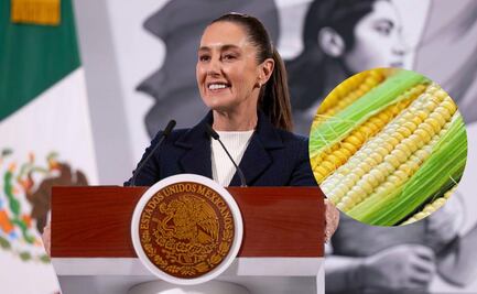 Sheinbaum modifica texto de iniciativa para prohibir siembra de maíz transgénico; esto es lo que establece