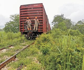Tren Maya costará 17 mil mdp más de lo que se estimaba en enero