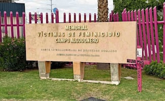 Campo Algodonero, memoria de la lucha contra feminicidios