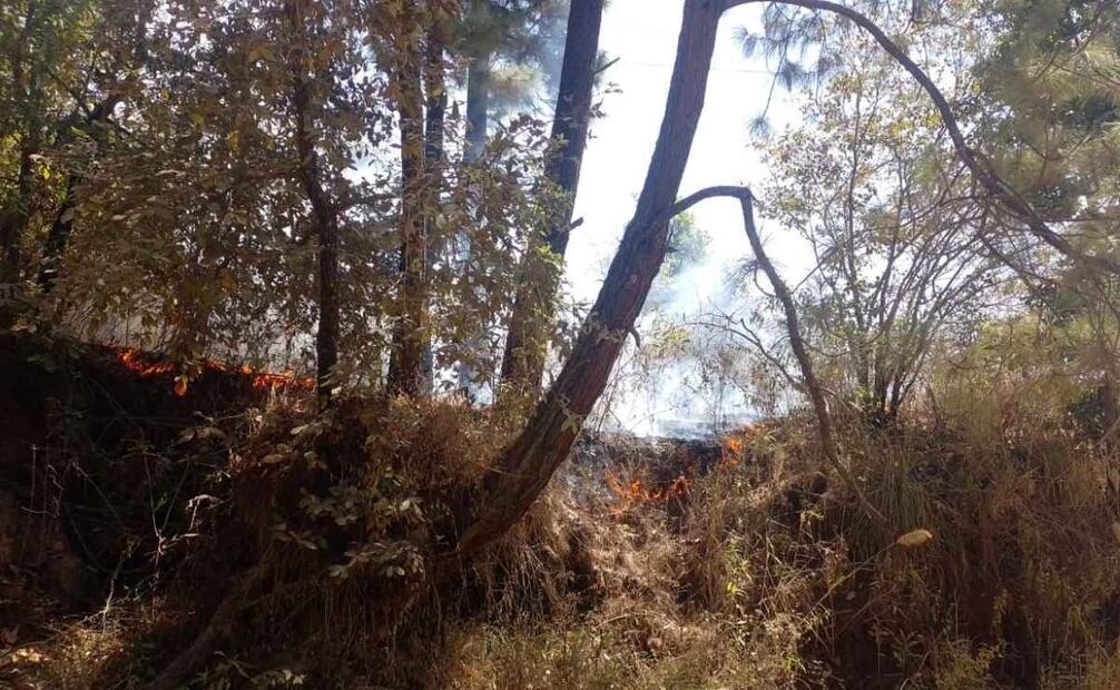Hay otros 4 incendio en Oaxaca (14/03/2025). Foto: Especial