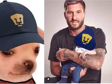 Los mejores memes de Pumas y su empate agónico ante Tigres