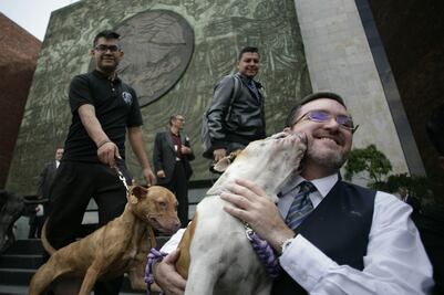 Döring presentará iniciativa para eliminar IVA en croquetas