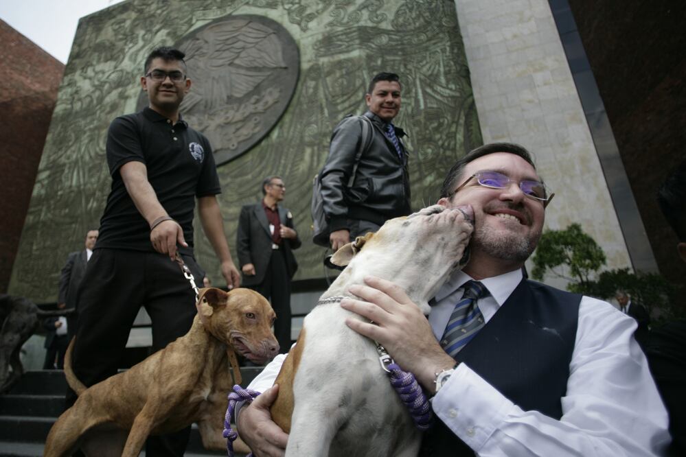 Foto: Iván Stephens / EL UNIVERSAL