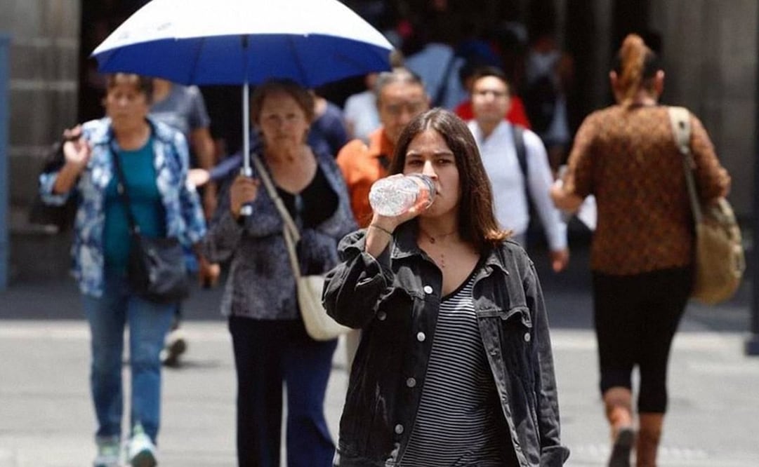 Imagen ilustrativa. Foto: archivo/EL UNIVERSAL