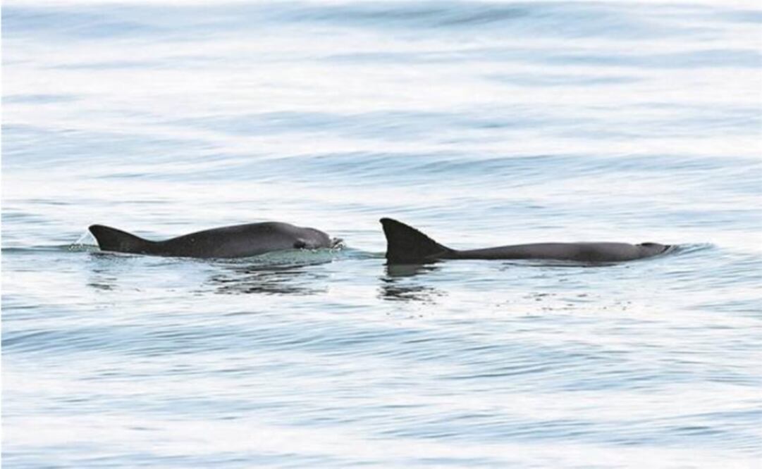 Photo: File photo/EL UNIVERSAL