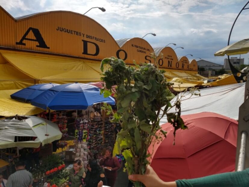 Aborto: orígenes prehispánicos