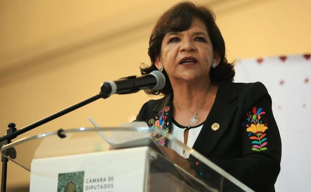 Lidia García Anaya, diputada de Morena. Foto: Twitter @DiputadosMorena