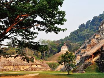 The environmental impact of the Maya civilization
