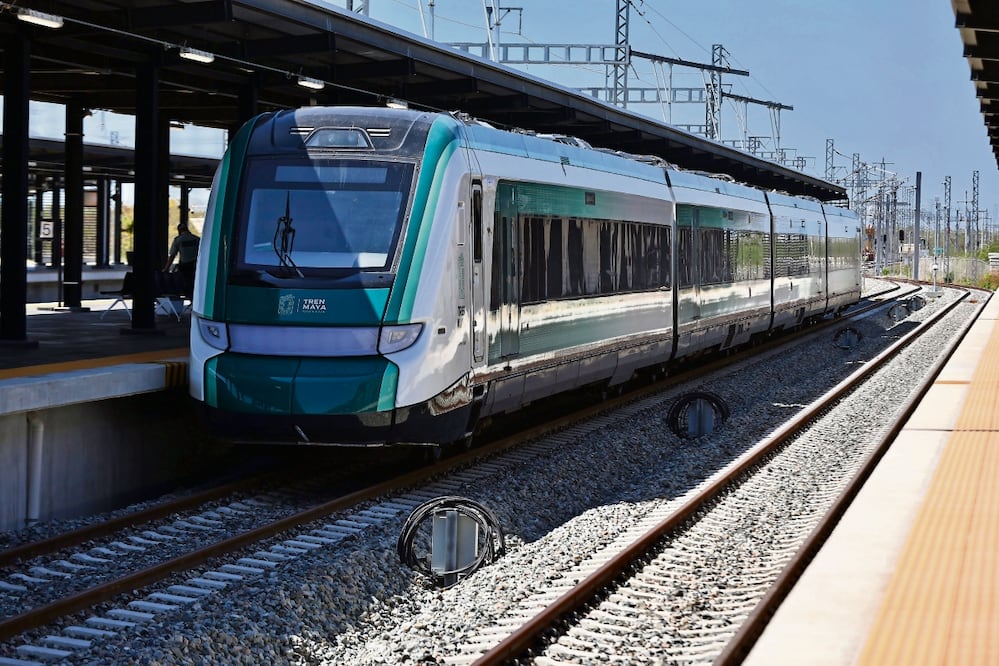 Berenice Fregoso El universal:Berenice Fregoso El universal