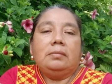 Liberan a profesora mixe de Oaxaca detenida por delito de “oposición” a ampliación de Transístmica