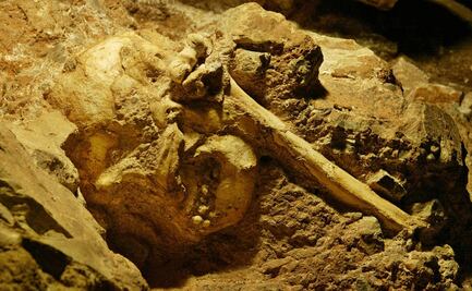 Primeros humanos sabían adaptarse a cambios medioambientales