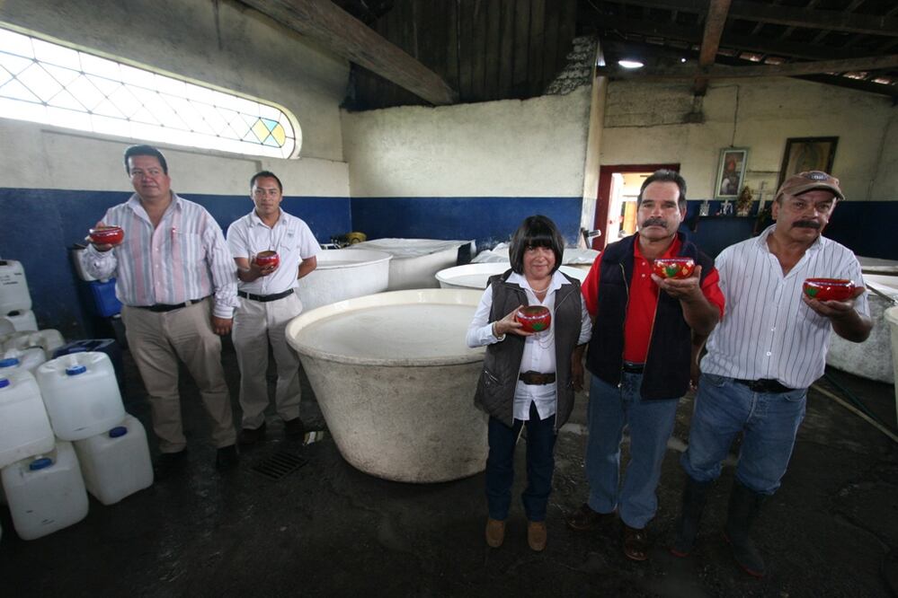 Como en la época prehispánica, los habitantes de esta región poblana cuidan y viven del maguey pulquero, pero lo hacen con un amor desmedido y contando las generaciones que se dedican a preservarlo. 