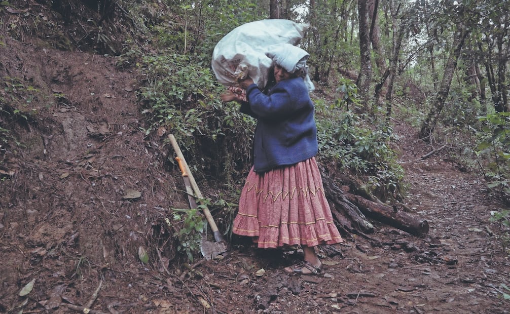 El documental está basado en la historia de la madre y la abuela de la cineasta ayuujk Concepción Vásquez. Fotos: de YOVEGAMI ASCONA MORA