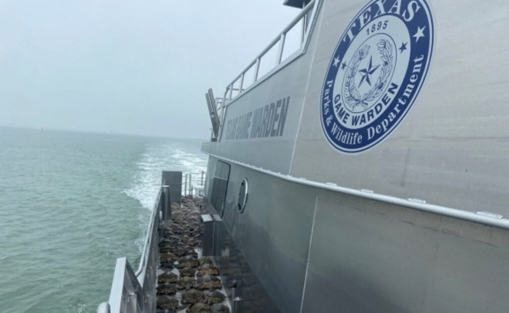 Rescatan a miles de tortugas aturdidas por el frío en Estados Unidos