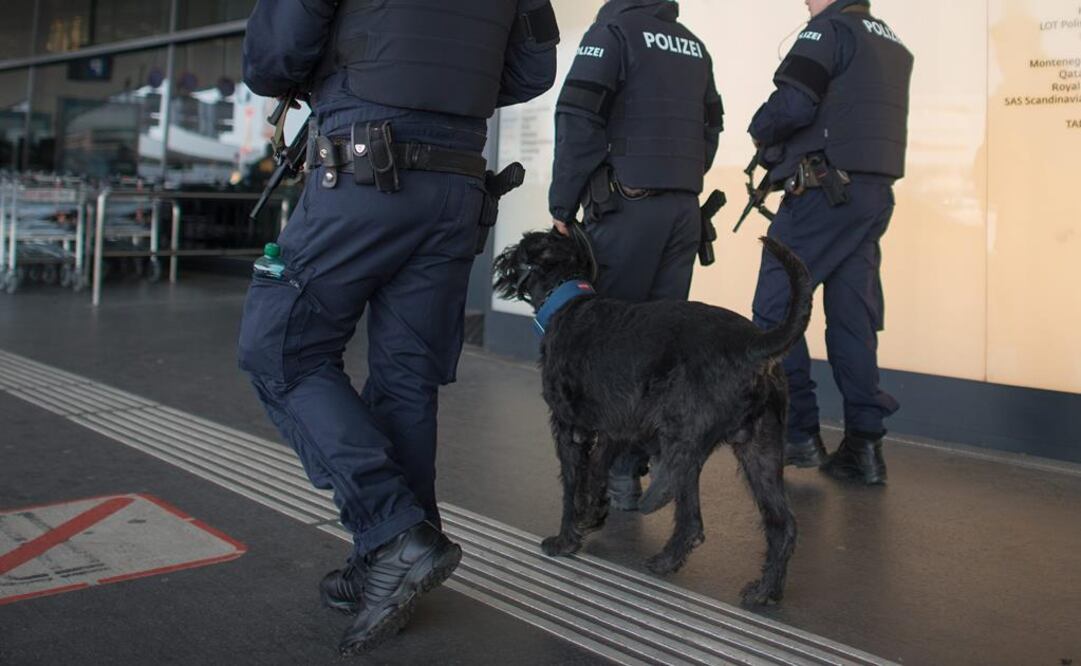 Intrigados porque no veían "consciencia ni movimiento" de la pasajera, los policías croatas llamaron a un médico que constató la muerte de la mujer de 83 años. Foto: Archivo/EFE