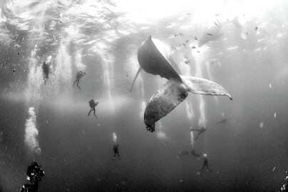"Un fotógrafo necesita suerte y persistencia"  