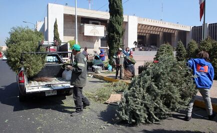 Llaman a no tirar árboles de navidad en vía pública