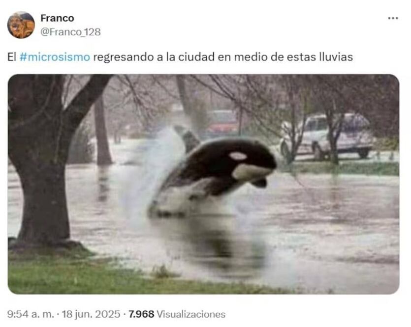 El Yellow Day, los microsismos y el solsticio en los memes de la semana