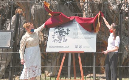 Es oficial: “Plaza de la Noche Victoriosa”