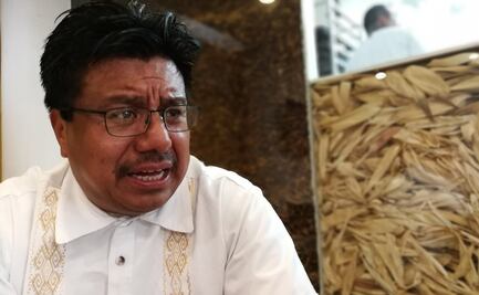 AMLO anunciará el próximo viernes la consulta del Tren Maya: INPI