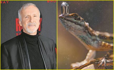 James Cameron se deja maravillar por la naturaleza
