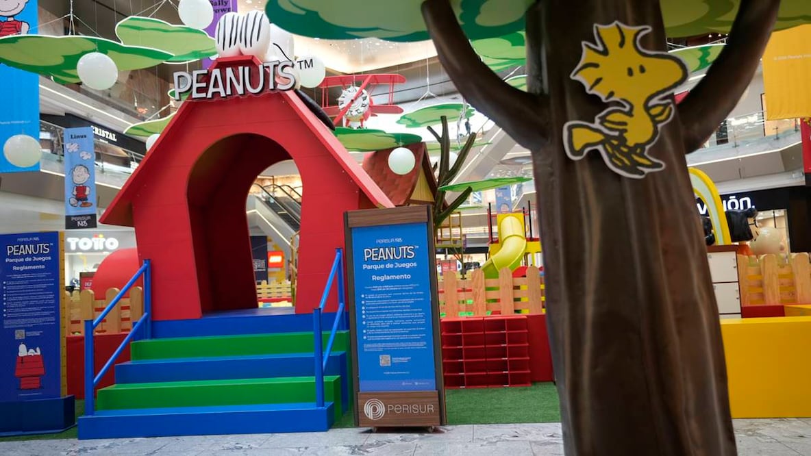 Foto: Centro Comercial Perisur