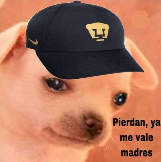 Los Memes destrozan a Pumas por su derrota ante Tigres