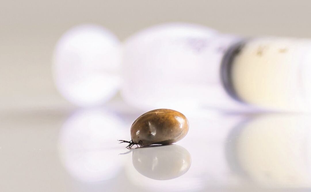 Foto: Archivo EL UNIVERSAL