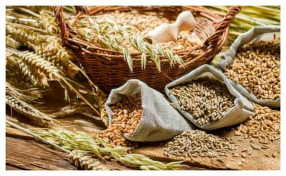 Alimentos que debes incluir en el lunch de los pequeños