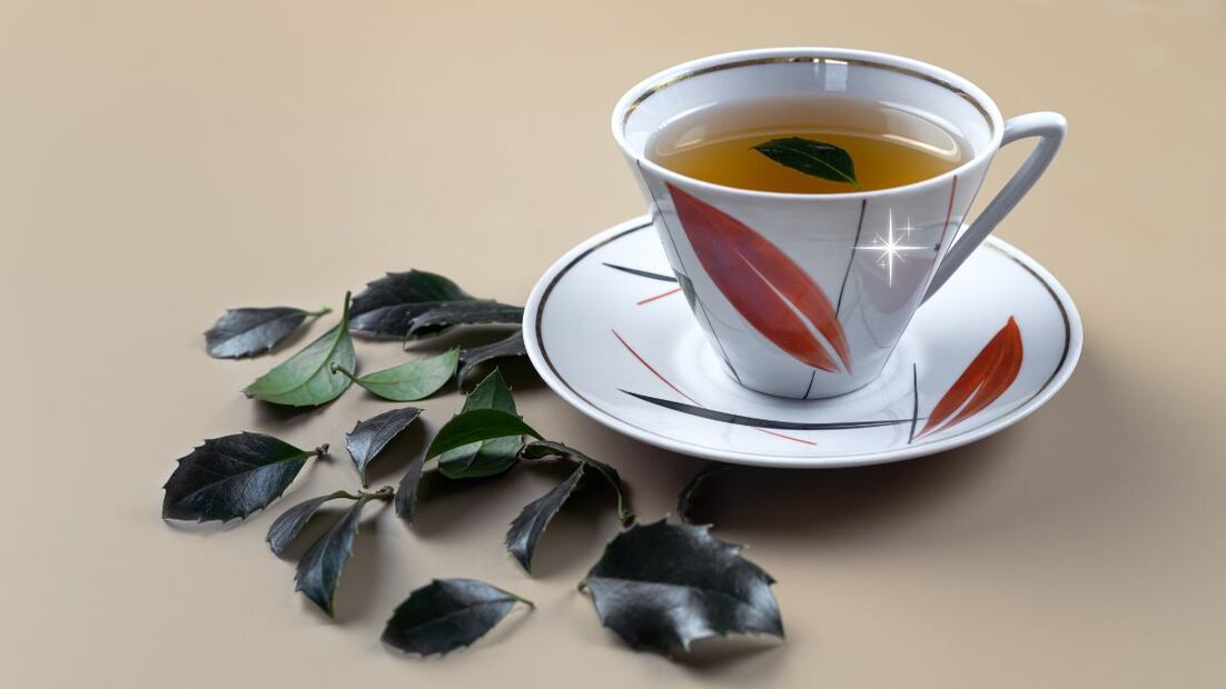 Té yaupon. Fuente: Canva