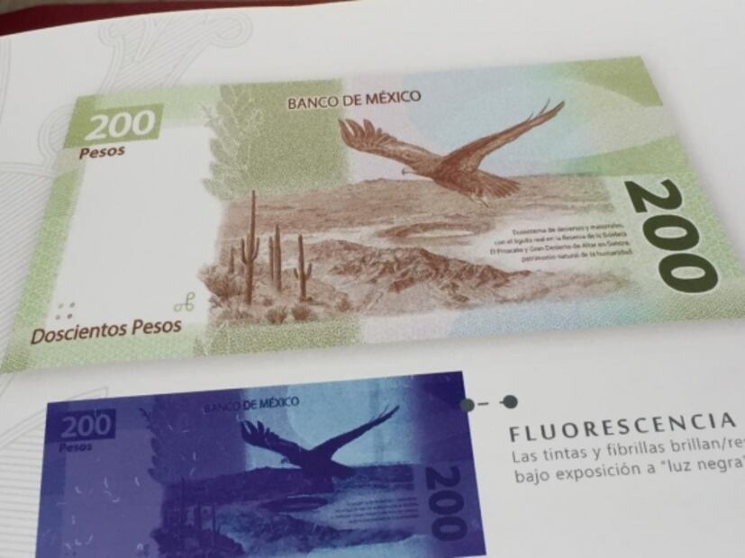Oficialmente, así es el nuevo billete de 200 pesos; ya está en circulación