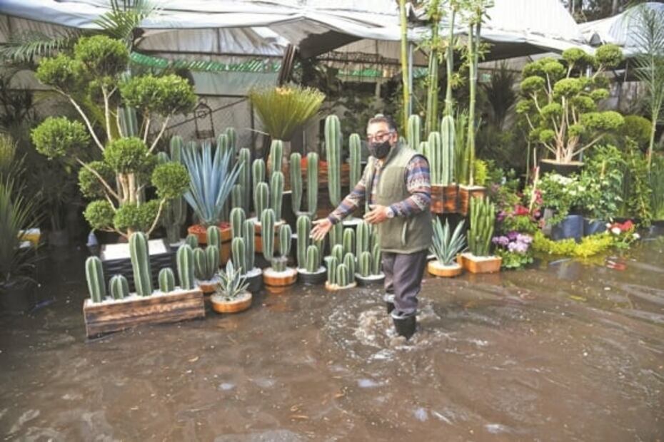 Agua potable inunda Cuemanco