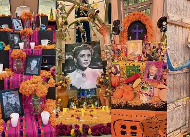 Honran a las estrellas con ofrendas y cempasúchil