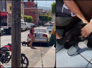 Captan a mujer paseando un puma bebé en Jalisco; Profepa lo rescata
