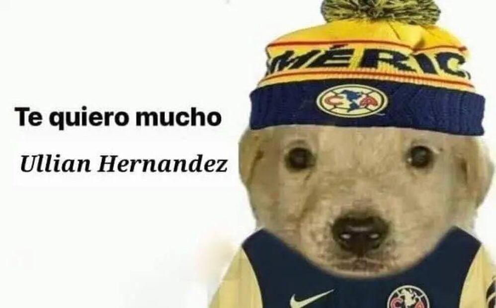 América Memes