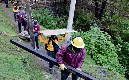 Recuperan nueve hectáreas de Área Natural Protegida en la Magdalena Contreras