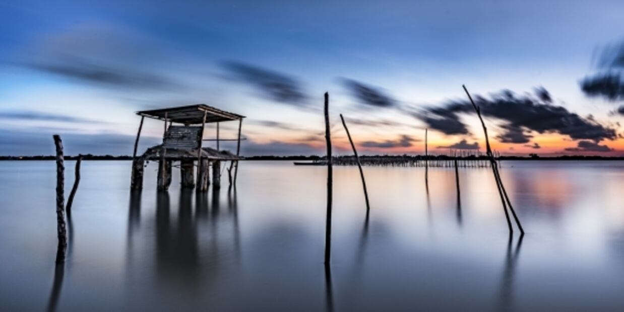 Curiosidades del WTC Ciudad de México y otros lugares