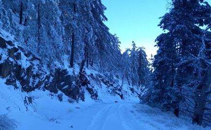 Pronostican hasta -10 grados en el norte de Sonora 