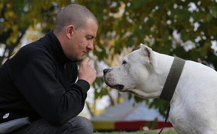¿Es apropiado un pitbull como mascota para un niño?