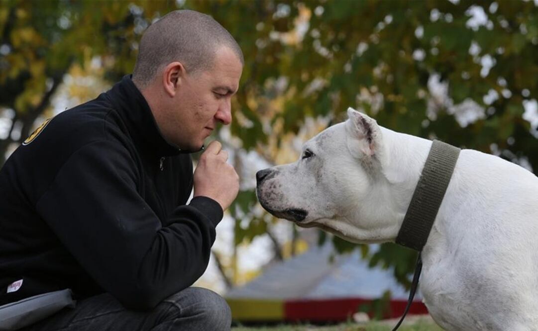 (FOTO: La Nación Argentina)