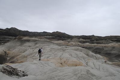 Restos fósiles del dinosaurio anquilosaurio sugieren cómo alcanzó los sitios más recónditos del hemisferio sur 