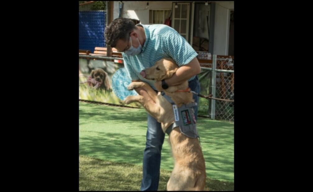 Entrenan a 10 perros para detectar Covid-19 en Sonora
