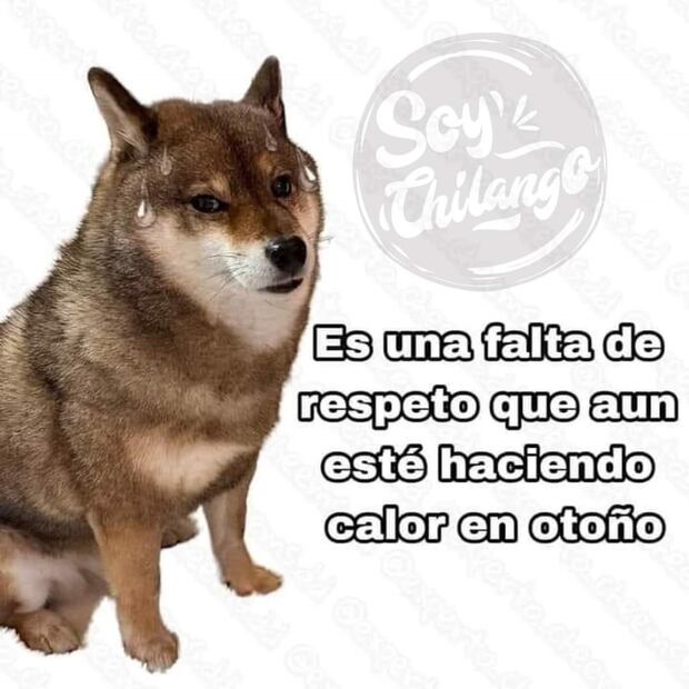 Memes por las altas temperaturas en México. Foto: Redes Sociales