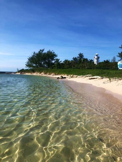 Foto: Natural Mystic Veracruz