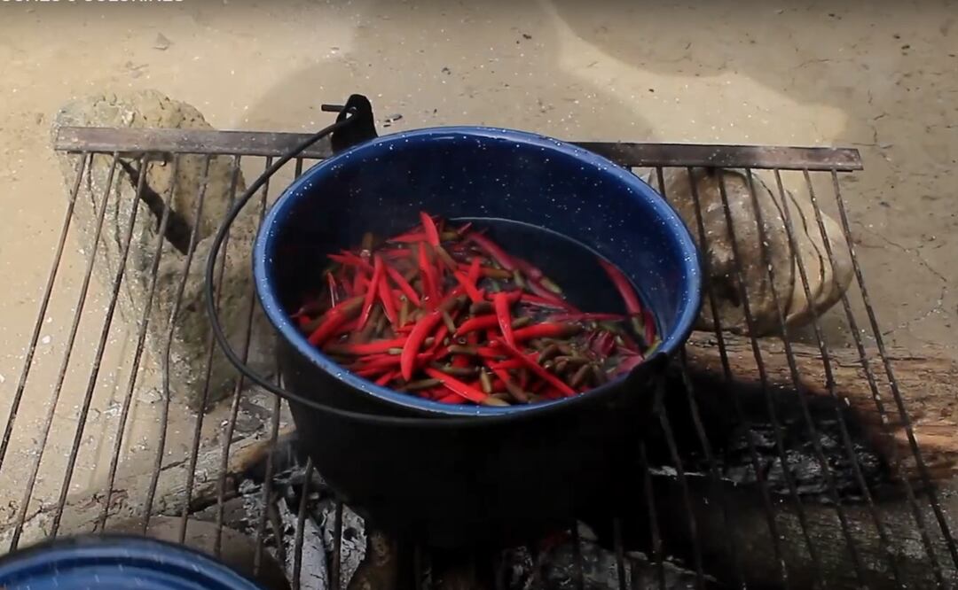 Foto: Captura canal de YouTube/ La Huasteca 